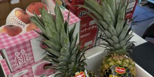 ビールと果物の夏の贈り物のイメージ